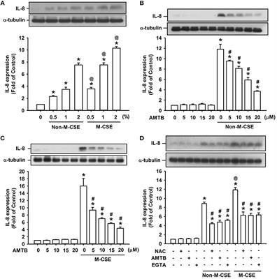 Inflammatory Effects of Menthol vs. Non-menthol Cigarette Smoke Extract on Human Lung Epithelial Cells: A Double-Hit on TRPM8 by Reactive Oxygen Species and Menthol